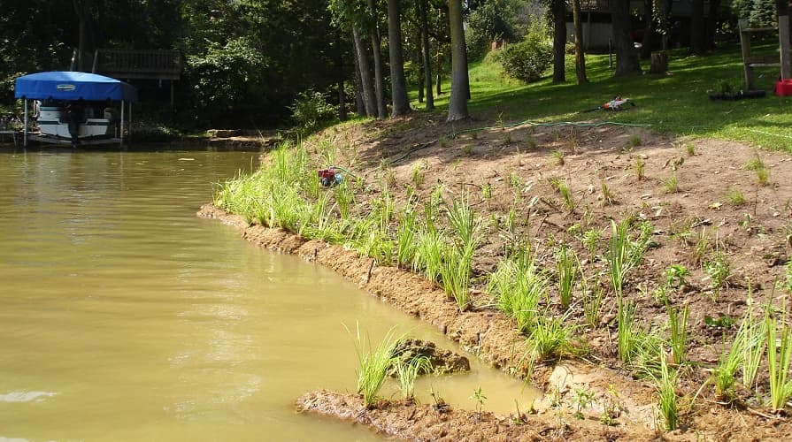Walce kokosowe chronią brzeg potoku