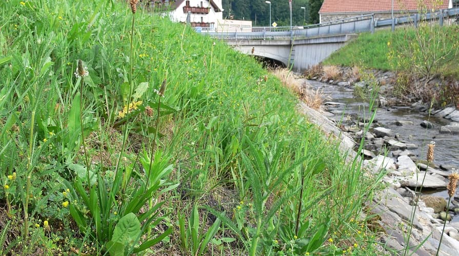 Trwała geomata chroni brzeg potoku