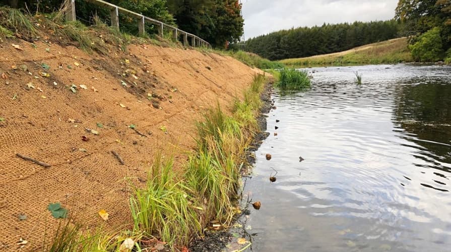 Siatka kokosowa na brzegu rzeki
