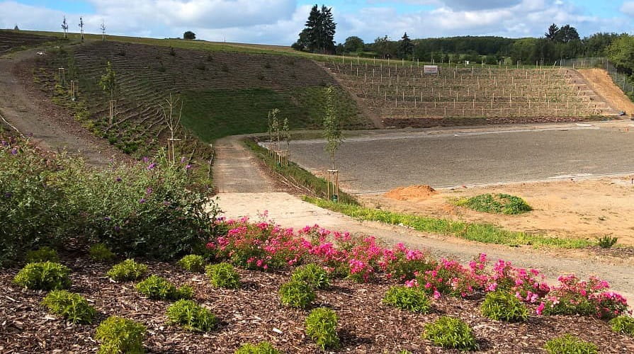 Rekultywacja skarp dawnej piaskowni