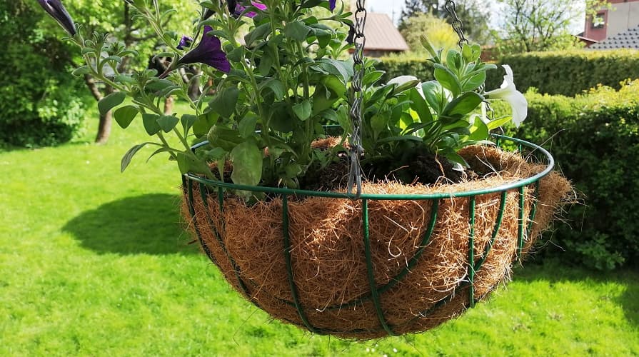 Mata kokosowa jako doniczka